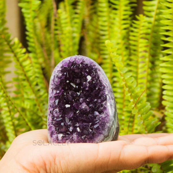 Amethyst Standing Geode AAA+ Quality - 251g
