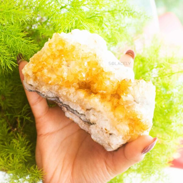 Citrine Wealth Crystal