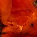 Carnelian