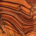 Tiger Eye