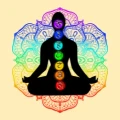 Seven Chakra